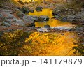 埼玉県嵐山渓谷の秋の風景 141179879