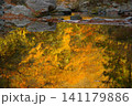 埼玉県嵐山渓谷の秋の風景 141179886