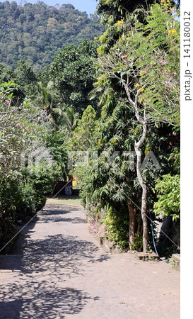 Sunlit tropical garden path beneath dense palms and leafy canopy leading toward shaded pavilion beside forested hillside in lush resort landscape, with pathway, garden, tropical, tree detail 141180012