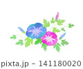 青とピンク朝顔のイラスト 141180020