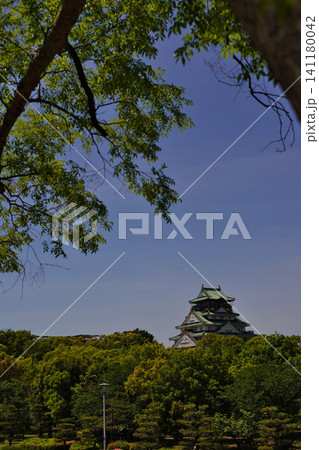 大阪城の風薫る初夏の情景 玉造口から 大阪城の風薫る初夏の情景 玉造口から 141180042