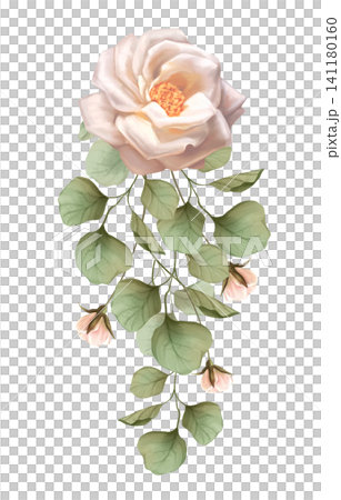 Hand drawn illustration of an elegant vertical floral swag with white rose and eucalyptus foliage. Botanical decorative element Hand drawn illustration of an elegant vertical floral swag with white rose and eucalyptus foliage. Botanical decorative element 141180160