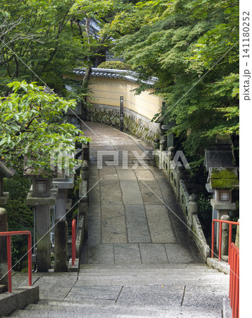 青紅葉に覆われた朝護孫子寺の参道 青紅葉に覆われた朝護孫子寺の参道 141180252