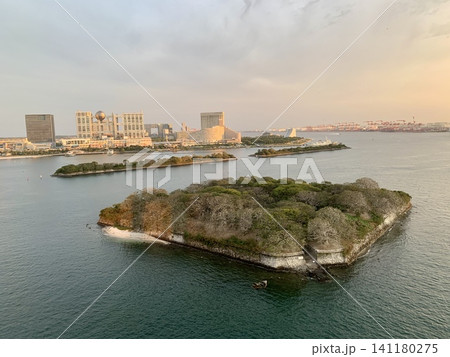 夕日に照らされる東京湾の第三台場とお台場の街並み 夕日に照らされる東京湾の第三台場とお台場の街並み 141180275