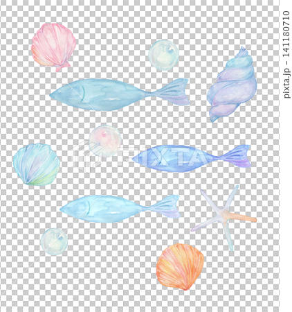 魚類和貝殼的水彩插圖 魚類和貝殼的水彩插圖 141180710