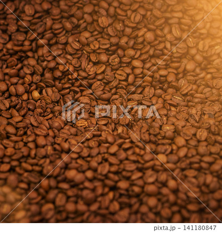 Coffee beans, closeup and product with natural source for export, trading or flavor with sustainability. Caffeine, supply chain and manufacturing with zoom, industry and logistics for distribution Coffee beans, closeup and product with natural source for export, trading or flavor with sustainability. Caffeine, supply chain and manufacturing with zoom, industry and logistics for distribution 141180847