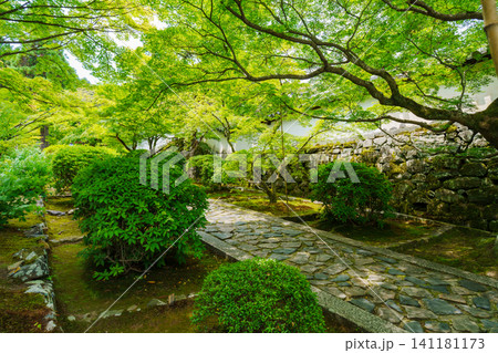 新緑に包まれる一休寺 酬恩庵 新緑に包まれる一休寺 酬恩庵 141181173