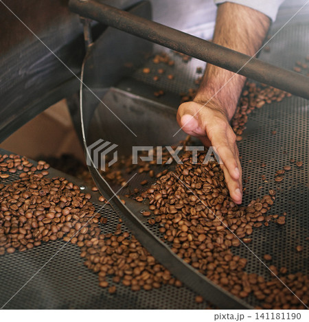 Coffee beans, machine and hands in industry for production, grinding and roast with flavor, export or quality assurance. Person, factory and manufacturing for caffeine with organic stock for ecology Coffee beans, machine and hands in industry for production, grinding and roast with flavor, export or quality assurance. Person, factory and manufacturing for caffeine with organic stock for ecology 141181190