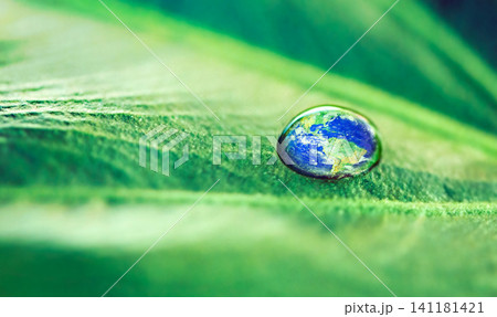 Water drops, leaf and plant in nature, earth or environment on a green background in summer. World, droplet and planet with morning dew, abstract texture or raindrop liquid closeup on mockup space Water drops, leaf and plant in nature, earth or environment on a green background in summer. World, droplet and planet with morning dew, abstract texture or raindrop liquid closeup on mockup space 141181421