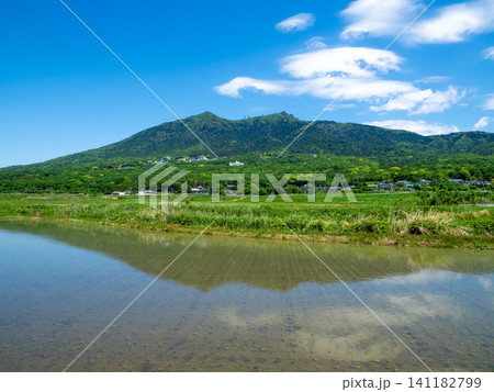 筑波山と水田(茨城県つくば市神郡) 筑波山と水田(茨城県つくば市神郡) 141182799