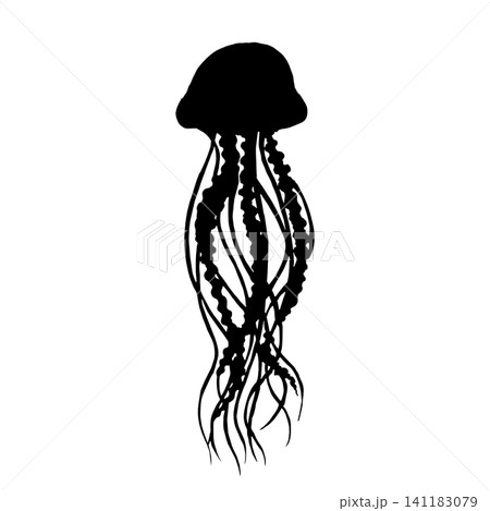 Jellyfish silhouette Jellyfish silhouette 141183079