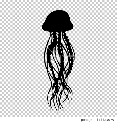 Jellyfish silhouette Jellyfish silhouette 141183079