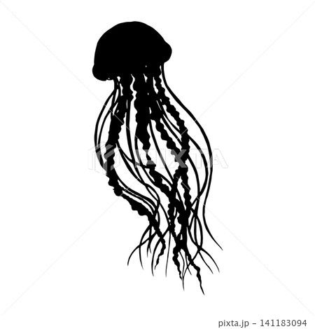 Jellyfish silhouette 141183094