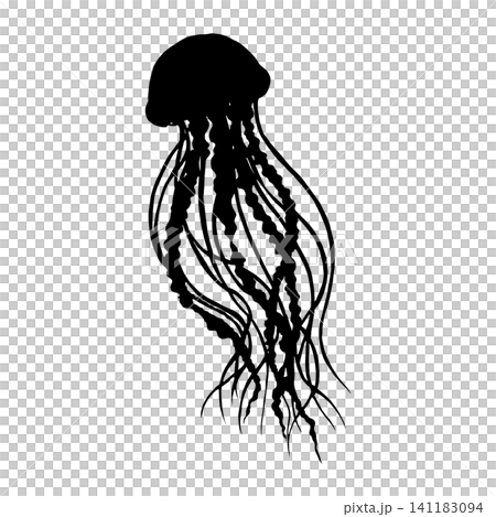 Jellyfish silhouette 141183094