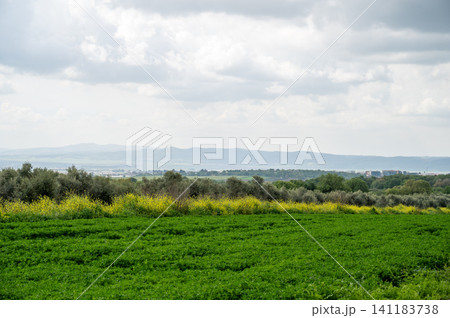 beautiful landscape in moshav Bethlehem of Galilee in Israel beautiful landscape in moshav Bethlehem of Galilee in Israel 141183738