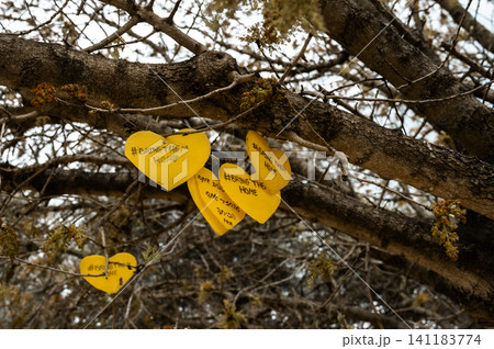 yellow hearts on a tree with the inscription bring them home yellow hearts on a tree with the inscription bring them home 141183774