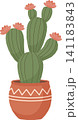Cute Cactus with Flowers Illustration, Cartoon Pastel Potted Plant in Boho Tribal Pot, Minimalist Blooming Succulent Element Isolated for Home Decor Design 141183843