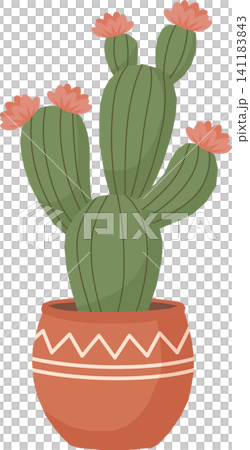 Cute Cactus with Flowers Illustration, Cartoon Pastel Potted Plant in Boho Tribal Pot, Minimalist Blooming Succulent Element Isolated for Home Decor Design 141183843