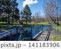Scenic wooden footbridges over water canals in the hydro-park of Sosnovy Bor sanatorium in Radoshkovichi, Belarus 141183906