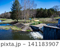 Scenic wooden footbridges over water canals in the hydro-park of Sosnovy Bor sanatorium in Radoshkovichi, Belarus 141183907