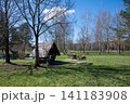 Cozy wooden gazebo with a metal barbecue grill in a peaceful pine forest for outdoor recreation, picnics and shashlik 141183908