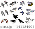 鳥のイラストセット。身近な日本の鳥。アイソメトリック図。 141184904