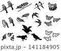 鳥のイラストセット。身近な日本の鳥。アイソメトリック図。 141184905