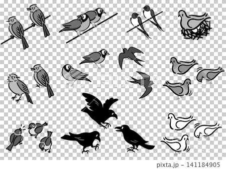 A set of bird illustrations. Familiar Japanese birds. Isometric drawings. A set of bird illustrations. Familiar Japanese birds. Isometric drawings. 141184905