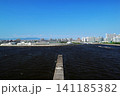 鳴尾橋から見た海と街並み（兵庫県西宮市） 141185382