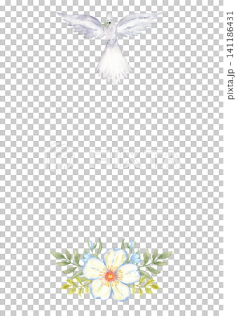 A4 dove and floral border template for wedding and first communion invitation and stationery background with white dove and watercolor flowers for printable design. For baptism invitation. Isolated 141186431