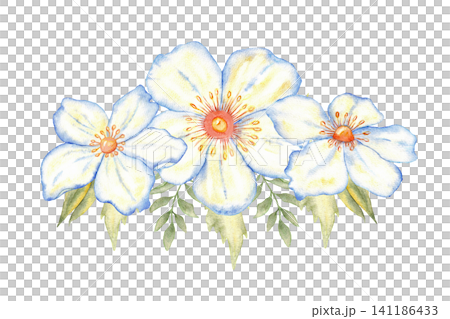 Watercolor floral composition with white blossoms and leaves for wedding and first communion invitation design and decorative stationery element for ceremony cards. Isolated. Hand drawn 141186433