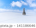 北海道の冬景色 美瑛 クリスマスツリーの木 【北海道旭川市】 北海道の冬景色 美瑛 クリスマスツリーの木 【北海道旭川市】 141186646