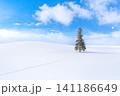 北海道の冬景色 美瑛 クリスマスツリーの木 【北海道旭川市】 北海道の冬景色 美瑛 クリスマスツリーの木 【北海道旭川市】 141186649