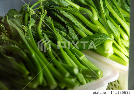野菜 ベジタブル 青菜 141186652