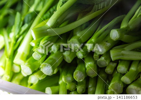野菜 ベジタブル 青菜 141186653