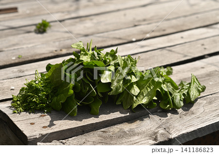 Green spinach plant stays on rustic wood planks. Green spinach plant stays on rustic wood planks. 141186823