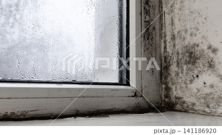Dirty window frame with mold and peeling paint, window detail closeup, 141186920