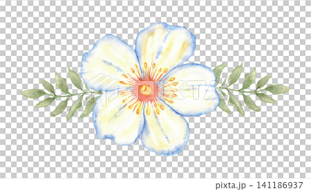 Horizontal blue watercolor flower with green leaves for wedding floral border, header or invitation design element. Hand drawn. Isolated. For first communion, baptism, save the date greeting card Horizontal blue watercolor flower with green leaves for wedding floral border, header or invitation design element. Hand drawn. Isolated. For first communion, baptism, save the date greeting card 141186937