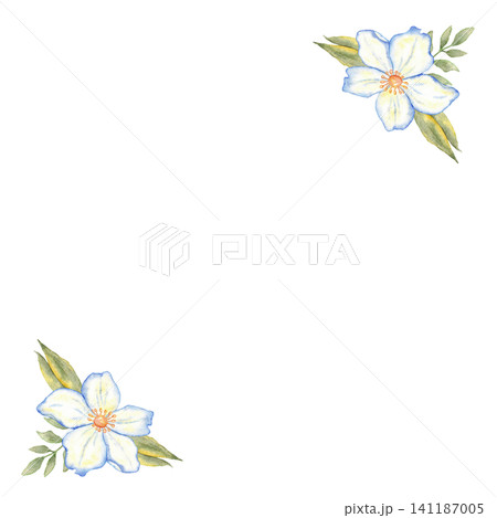 Square floral corner template with two watercolor white and blue flowers for invitation card background and printable stationery design. Isolated. For wedding, first communion, baptism, save the date Square floral corner template with two watercolor white and blue flowers for invitation card background and printable stationery design. Isolated. For wedding, first communion, baptism, save the date 141187005