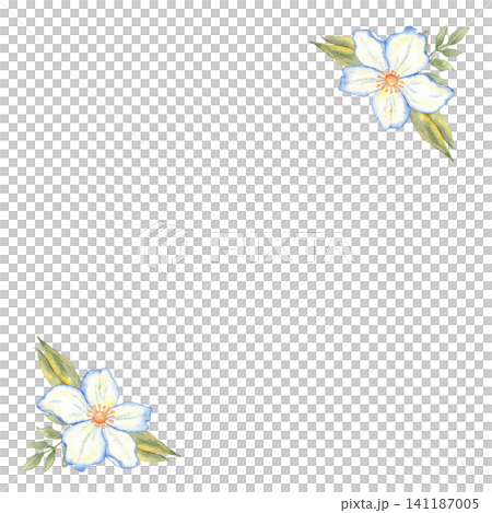 Square floral corner template with two watercolor white and blue flowers for invitation card background and printable stationery design. Isolated. For wedding, first communion, baptism, save the date Square floral corner template with two watercolor white and blue flowers for invitation card background and printable stationery design. Isolated. For wedding, first communion, baptism, save the date 141187005