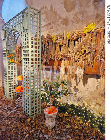 Maincy, France - December 11, 2025: An indoor orangery with scattered leaves on the floor, bunches of dried plants on the walls give a rustic autumnal feel inside the historic Vaux-le-Vicomte Chateau Maincy, France - December 11, 2025: An indoor orangery with scattered leaves on the floor, bunches of dried plants on the walls give a rustic autumnal feel inside the historic Vaux-le-Vicomte Chateau 141187476