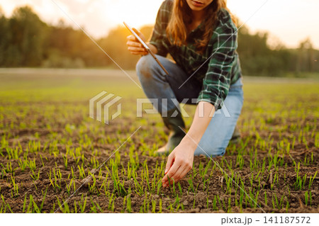 Woman agronomist in a field of young sprouts. Concept of gardening, ecology, tegnology. Woman agronomist in a field of young sprouts. Concept of gardening, ecology, tegnology. 141187572