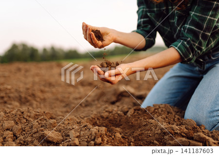 A woman agronomist holds the soil, checks its quality before sowing. Ecology, gardening concept. A woman agronomist holds the soil, checks its quality before sowing. Ecology, gardening concept. 141187603