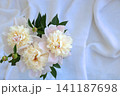 White peonies on a white background. This romantic flat-lay arrangement is perfect for wallpaper or wedding backdrops. 141187698