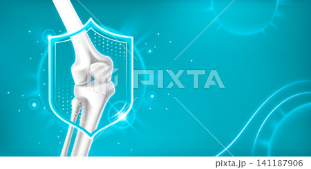 3d anatomical knee joint with realistic bones 141187906