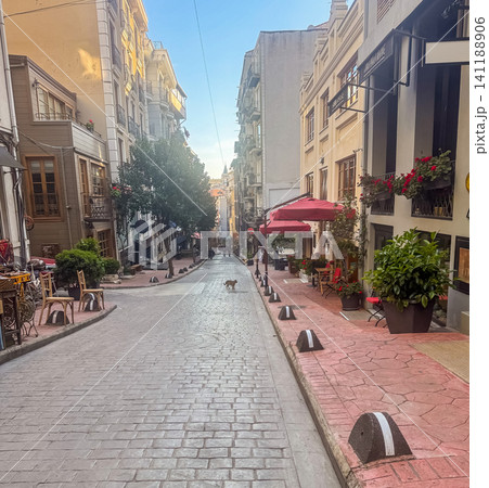 Charming cobblestone street in Istanbul old city neighborhood with cafes red umbrella flower pots and cat crossing on sunny morning Charming cobblestone street in Istanbul old city neighborhood with cafes red umbrella flower pots and cat crossing on sunny morning 141188906