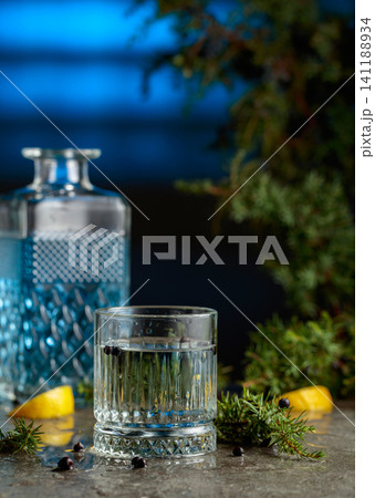 Gin and tonic cocktail with juniper branches and lemon slices. 141188934