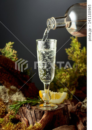 Gin or herbal bitter poured from a bottle into a glass, set among juniper branches, weathered driftwood and forest moss. 141188965