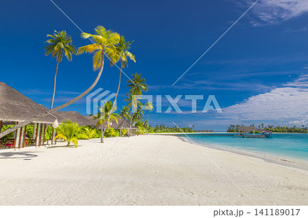 Leaning coconut palm trees over white sand tropical beach under deep blue sky. Dramatic clouds above turquoise lagoon and lush island vegetation, classic Maldives resort scenery. Iconic paradise land 141189017