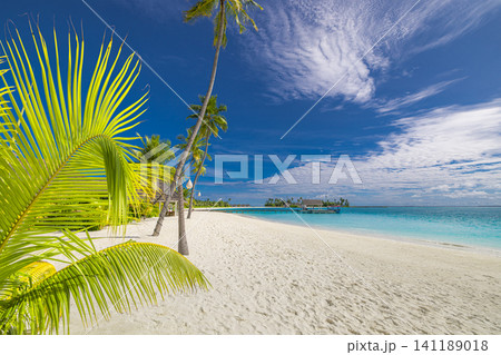 Green palm frond framing white sandy beach and vivid blue sky with wispy clouds. Tropical island shoreline with turquoise sea, foreground foliage adding depth to paradise scene. Fresh summer landscape 141189018